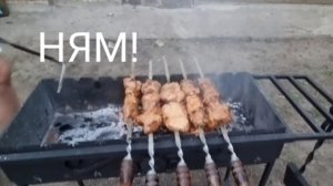 ПРИГОТОВИЛИ ШАШЛЫК И ПОЛУЧИЛОСЬ КРУТО!