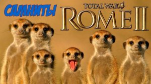 (1) Кот спаси мою кампанию! Самниты майданят. Легенда. Rome 2 Total War.