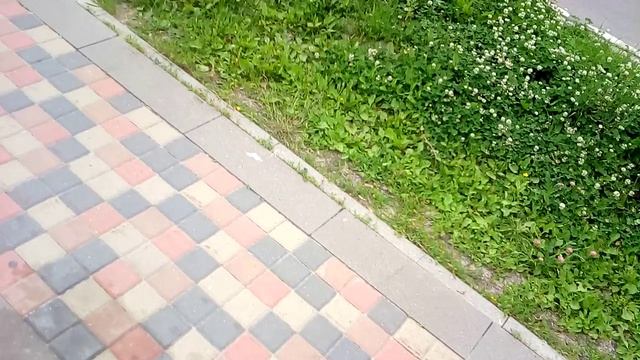 ПОХОД В МАГАЗИН ВСЁ КАК ЕСТЬ РАБОТА СОБАК смотреть онлайн