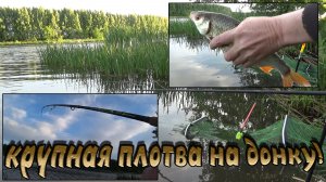 Реально крупная, отборная плотва на донку! Погода не очень, а клёв отличный!