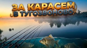 В поисках карася. Рыбалка в отпуске