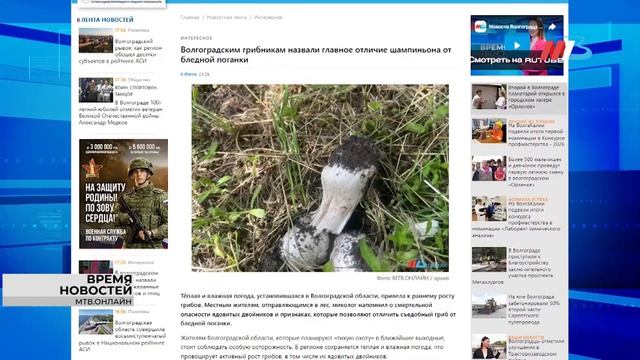 Главное правило любителей тихой охоты, 1-й оборот «Красного солнца» и большой страх волгоградцев