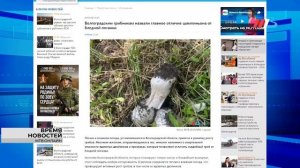 Главное правило любителей тихой охоты, 1-й оборот «Красного солнца» и большой страх волгоградцев