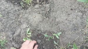 1000004725.mp4