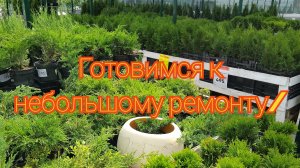 Готовимся к небольшому ремонту/ Приготовила горячий салат