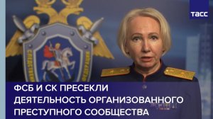 ФСБ и СК пресекли деятельность ОПС, обеспечивавшего финансирование онлайн-казино