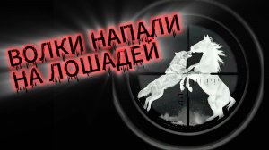 НАПАДЕНИЕ ВОЛКОВ НА ЛОШАДЕЙ | ДОСТРОИЛИ ЛЕВАДУ