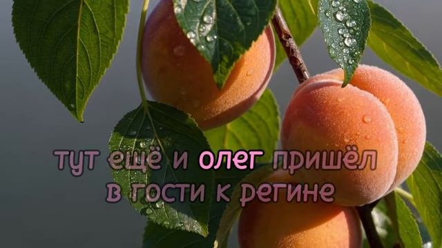 Внучка выгнала бабушку из дома ради мужчины… Но через год вернулась с младенцем и услышала ... смотреть онлайн
