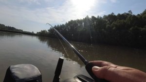 Крупная щука! Река Чарыш