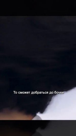 Фильм на вечер !