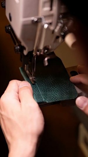 YTDown_Shorts_Spring-croaker-coin-case-asmr-leathercra