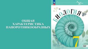 Урок 9. Общая характеристика папоротникообразных