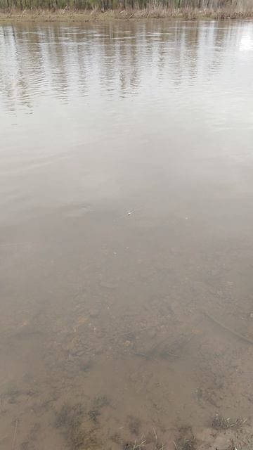 ✔Рыбалка🎣 на реке🌊. Часть 9✔