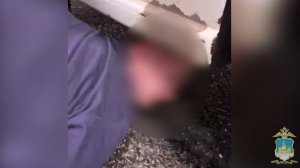 В Костроме под стражу взят задержанный сотрудниками полиции создатель онлайн-наркомаркета
