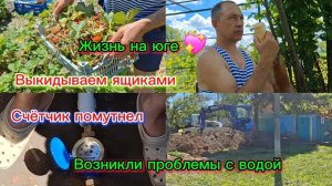 08-06-2026/Краснодарский край/Мечты сбываются!/Проблемы с водой/Поездка в центр/Обзор покупок/Урожай
