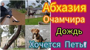Одна как Перст! На Набережной никого! Рука Дельфина, собаки, кони. Ищу идеальную шишку! Сейчас спою!