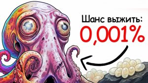 Ты осьминог (и это отстой)