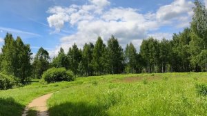 Энергия природы. Краски лета. По дороге в березовую рощу. Релакс видео. Июнь 2026