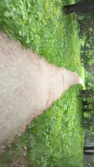 Катаюсь на велосипеде (без хейта пожалуйста)