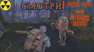 Выполнил задание: Алфавит зоны или Сизифов труд . Stalker Online. Stay out. (Сталкер онлайн)