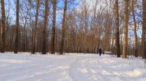 продержись 24 часа или умри сезон 3 ЧАСТЬ 30