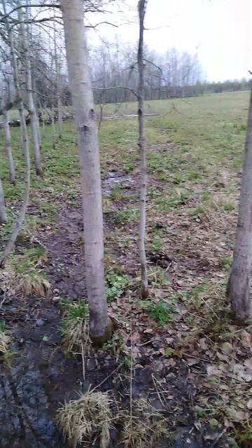 ✔Охота🔪 за строчками🍄 Часть 4✔
