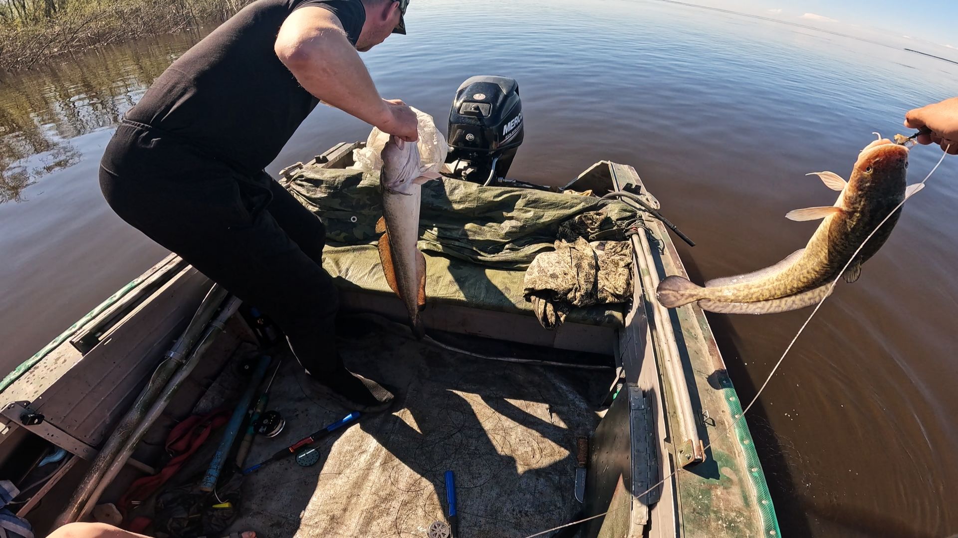 Налимы - мутанты | Рыбалка на стук летом смотреть онлайн