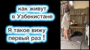 Как живут в Узбекистане русские семьи