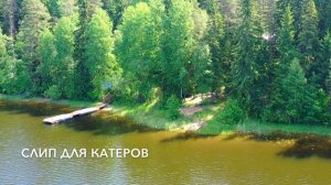 Отдых в сосновом лесу на берегу озера Селигер