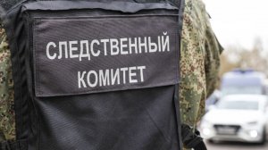 У лидера ОПГ, финансировавшей онлайн-казино, нашли автопарк с премиальными авто