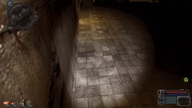 S.T.A.L.K.E.R Слово Скибиди Толчка смотреть онлайн