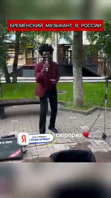 Бременский музыкант в России (перевод Кэндис Оуэнс) смотреть онлайн