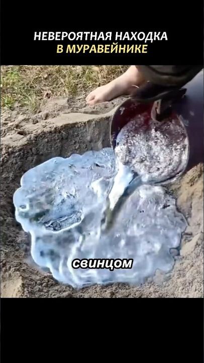 Невероятная находка в муравейнике (1080p_30fps_AV1-128kbit_AAC-русский) смотреть онлайн