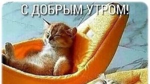УТРЕННЯЯ ПОЧТА !  ВАСЕВСКИЙ С КОННИЦЕЙ НА ГОЛОВЕ!