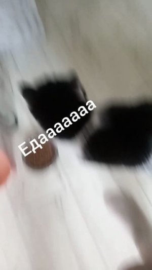 тема
