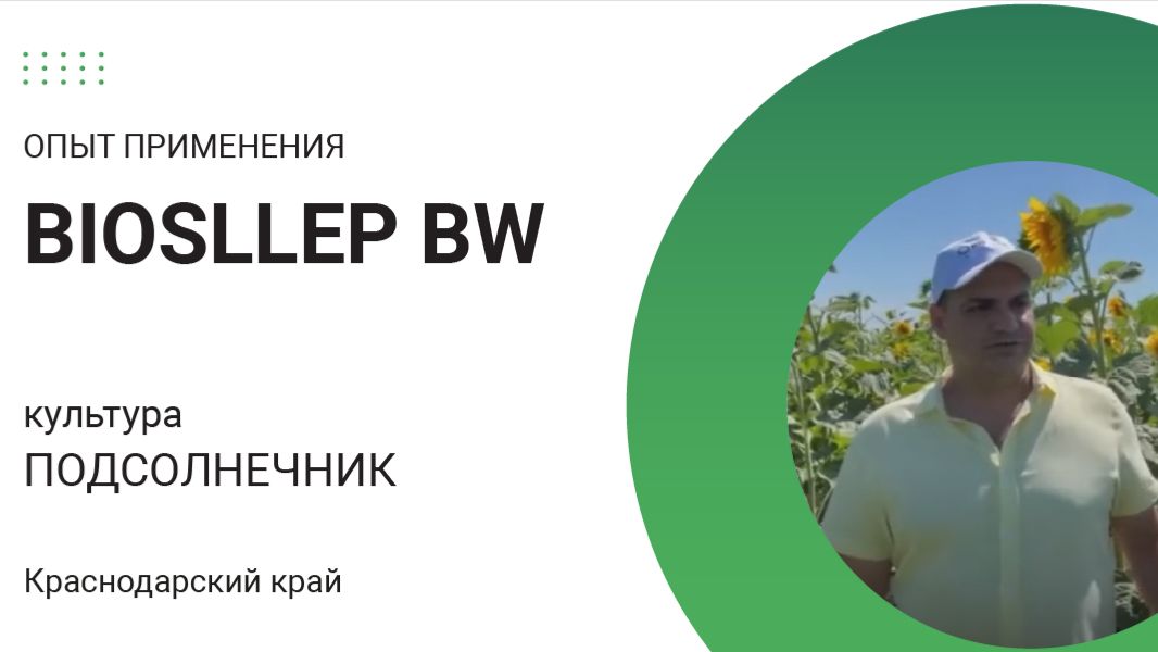 Эффективное применения препарата BioSleep BW на подсолнечнике.