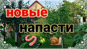 Новые напасти, но мы  всё преодолеем! Пляж, море, курортный Ейск. Ремонт и работа Олега.