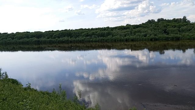 Обзорная экскурсия на реку, откуда пчелы носят мёд? смотреть онлайн