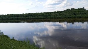 Обзорная экскурсия на реку, откуда пчелы носят мёд?