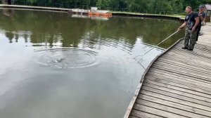 Карпуша на селёдку