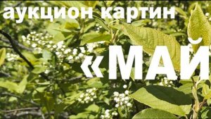 аукцион картин «Май-26». 17 05 2026 г