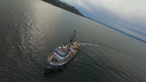 🚢 Лососевый тендер Monroe возвращается в марину Shilshole после работы с рыболовным флотом