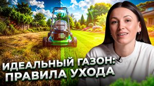 Почему ваш газон похож на мочалку? РАСКРЫВАЕМ 3 главные секрета по УХОДУ за ГАЗОНОМ