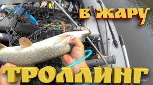 Рыбалка троллингом. В знойною жару, сильный подъём воды. АРХИВ