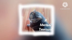 Тимоша Тимошанька - Я Милый Тимоша!