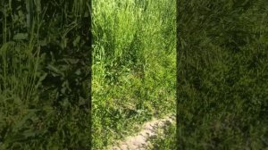 поездка на велосипедах