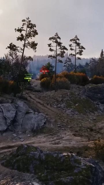 Что это ?