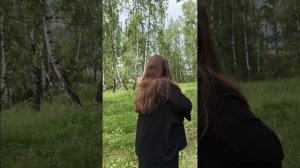 зарядка Цигун в лесу mp4