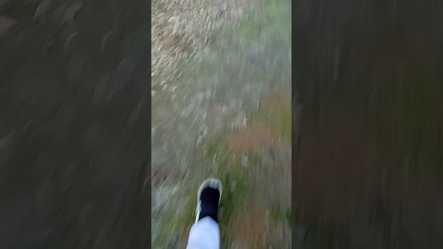 🪴Травяной мир🪴 1 часть смотреть онлайн