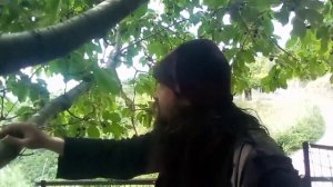 ΧΡΩΜΑ ΚΕΡΑΣΙ